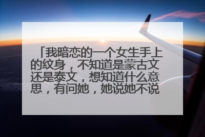 我暗恋的一个女生手上的纹身，不知道是蒙古文还是泰文，想知道什么意思，有问她，她说她不说叫我自己去查