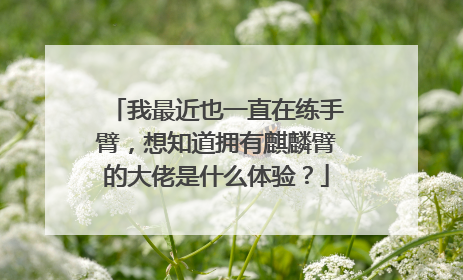 我最近也一直在练手臂，想知道拥有麒麟臂的大佬是什么体验？