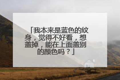我本来是蓝色的纹身，觉得不好看，想盖掉，能在上面盖别的颜色吗？