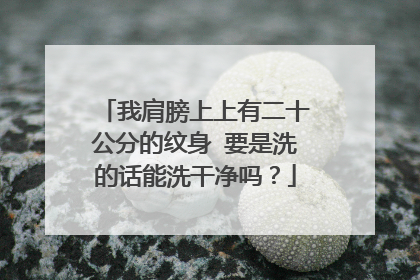 我肩膀上上有二十公分的纹身 要是洗的话能洗干净吗？