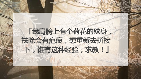 我肩膀上有个荷花的纹身，祛除会有疤痕，想重新去拼接下，谁有这种经验，求教！