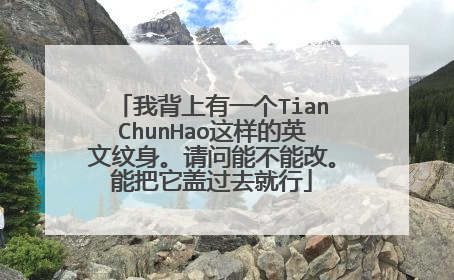 我背上有一个TianChunHao这样的英文纹身。请问能不能改。能把它盖过去就行