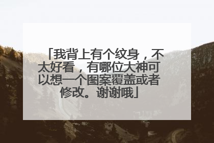 我背上有个纹身，不太好看，有哪位大神可以想一个图案覆盖或者修改。谢谢哦