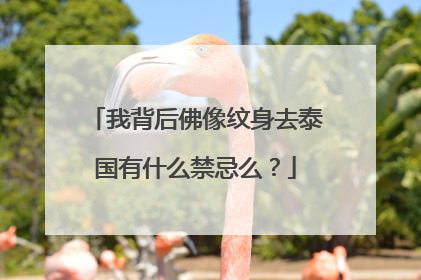 我背后佛像纹身去泰国有什么禁忌么？