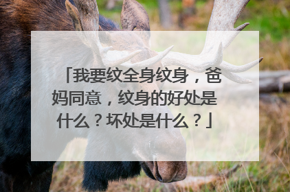 我要纹全身纹身,爸妈同意,纹身的好处是什么?坏处是什么?