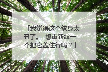 我觉得这个纹身太丑了。 想重新纹一个把它盖住行吗？