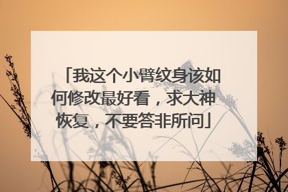 我这个小臂纹身该如何修改最好看，求大神恢复，不要答非所问