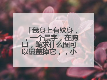 我身上有纹身，，一个晨字，在胸口，跪求什么图可以覆盖掉它，，小点的，，有图最好了，，大师们指点迷津