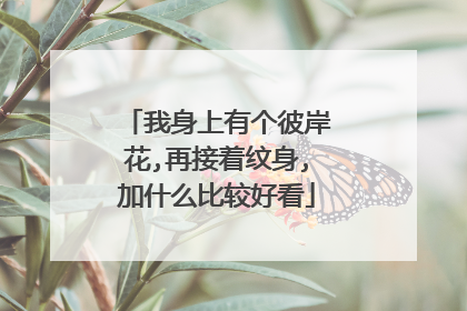 我身上有个彼岸花,再接着纹身,加什么比较好看