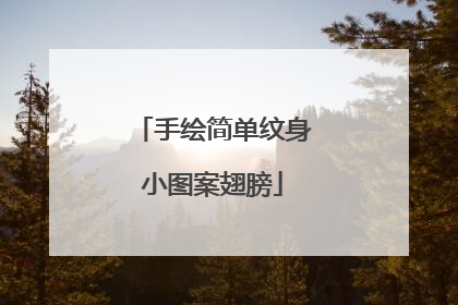 手绘简单纹身小图案翅膀
