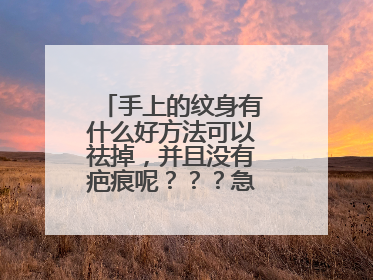 手上的纹身有什么好方法可以祛掉，并且没有疤痕呢？？？急急急急急急