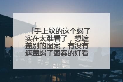 手上纹的这个蝎子实在太难看了,想遮盖别的图案,有没有遮盖蝎子图案的好看图案 虎口
