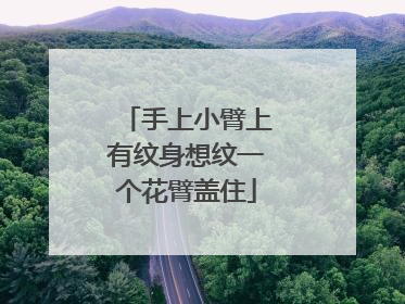 手上小臂上有纹身想纹一个花臂盖住