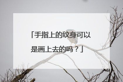手指上的纹身可以是画上去的吗？
