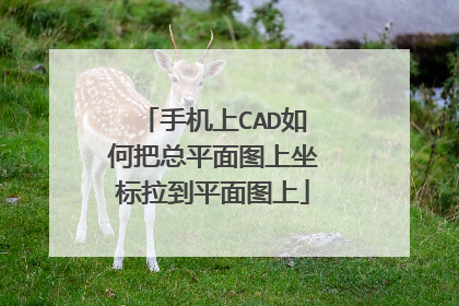手机上CAD如何把总平面图上坐标拉到平面图上