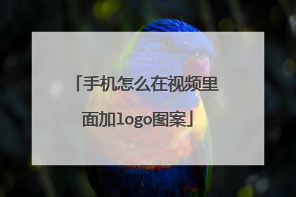 手机怎么在视频里面加logo图案