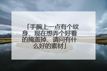 手腕上一点有个纹身、现在想弄个好看的掩盖掉、请问有什么好的素材
