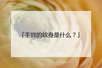 手臂的纹身是什么？