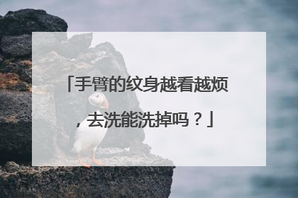 手臂的纹身越看越烦，去洗能洗掉吗？