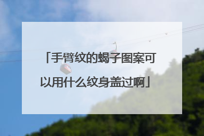 手臂纹的蝎子图案可以用什么纹身盖过啊