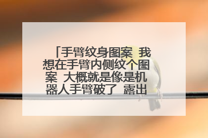 手臂纹身图案 我想在手臂内侧纹个图案 大概就是像是机器人手臂破了 露出里边的电线一样 曾经看过 现在求图
