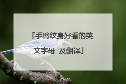 手臂纹身好看的英文字母 及翻译