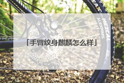 手臂纹身麒麟怎么样