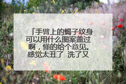 手臂上的蝎子纹身可以用什么图案盖过啊，懂的给个意见。感觉太丑了 洗了又会留疤。谢谢