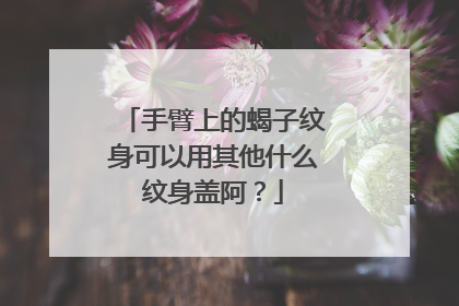 手臂上的蝎子纹身可以用其他什么纹身盖阿?