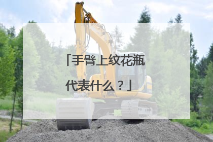 手臂上纹花瓶代表什么?