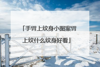 手臂上纹身小图案臂上纹什么纹身好看