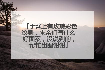 手臂上有玫瑰彩色纹身，求亲们有什么好图案，没说到的，帮忙出图谢谢