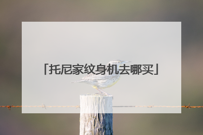 托尼家纹身机去哪买