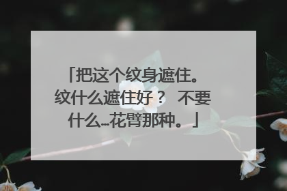 把这个纹身遮住。 纹什么遮住好？ 不要什么…花臂那种。