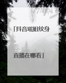 抖音瑶姐纹身直播在哪看