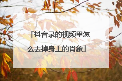 抖音录的视频里怎么去掉身上的肖象