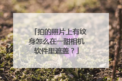 拍的照片上有纹身怎么在一甜相机软件里遮盖？
