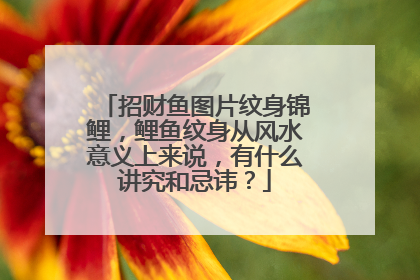 招财鱼图片纹身锦鲤，鲤鱼纹身从风水意义上来说，有什么讲究和忌讳？