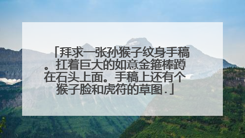 拜求一张孙猴子纹身手稿。扛着巨大的如意金箍棒蹲在石头上面。手稿上还有个猴子脸和虎符的草图.