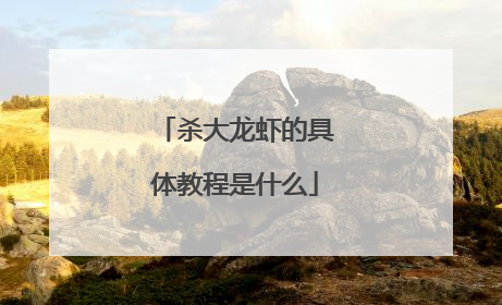 杀大龙虾的具体教程是什么