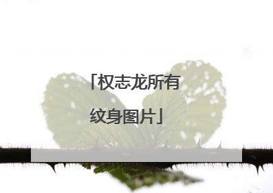 权志龙所有纹身图片