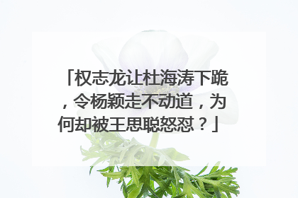 权志龙让杜海涛下跪，令杨颖走不动道，为何却被王思聪怒怼？