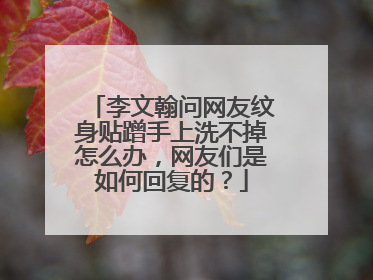 李文翰问网友纹身贴蹭手上洗不掉怎么办，网友们是如何回复的？