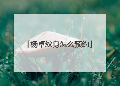 杨卓纹身怎么预约