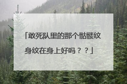 敢死队里的那个骷髅纹身纹在身上好吗？？