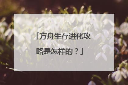 方舟生存进化攻略是怎样的？