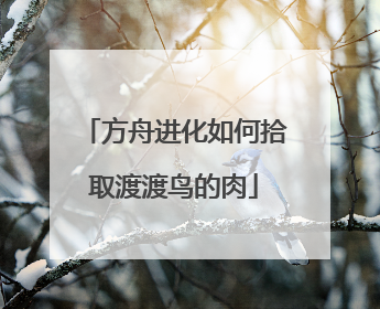 方舟进化如何拾取渡渡鸟的肉