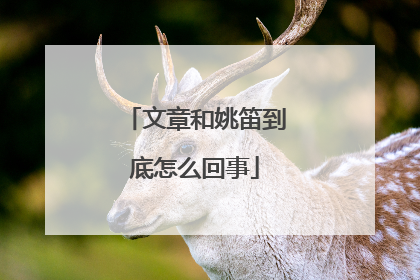 文章和姚笛到底怎么回事