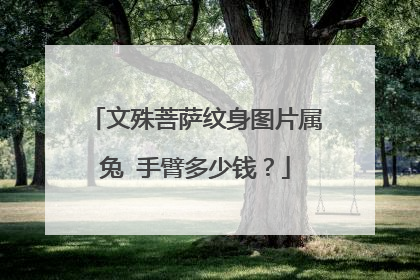 文殊菩萨纹身图片属兔 手臂多少钱？