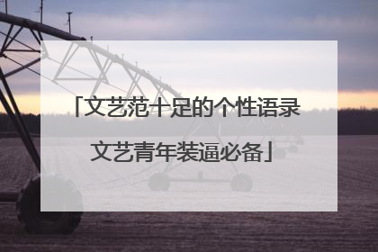 文艺范十足的个性语录 文艺青年装逼必备